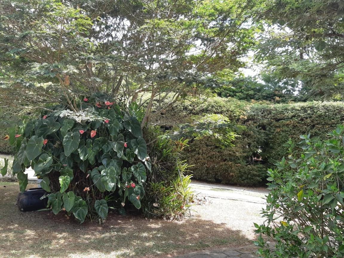 קלימה Finca Paraiso מראה חיצוני תמונה