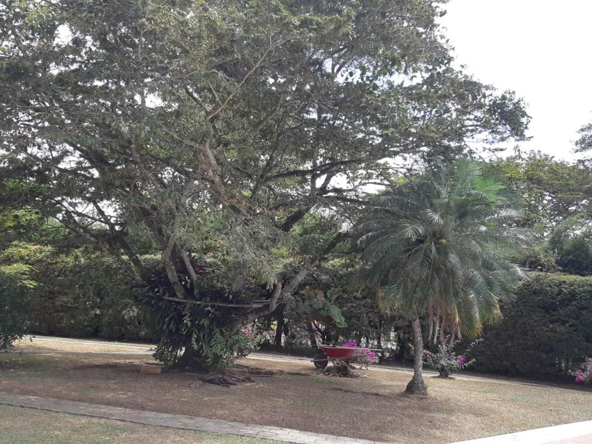 קלימה Finca Paraiso מראה חיצוני תמונה